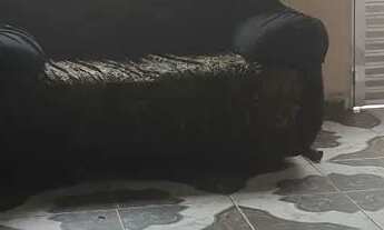 Imagem 5: Casa Casa com 2 dormitórios