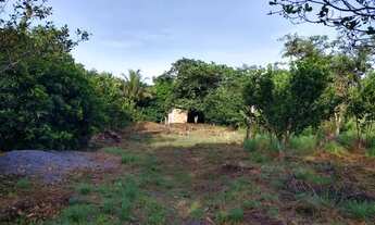 Imagem 2: Vende- chácara Chácara com venda por R$80.000