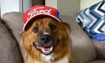 Imagem 6: Alugo quarto no centrinho da Lagoa da Conceição