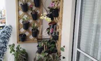 Imagem 5: Santo André - Apartamento Padrão - Vila Alzira