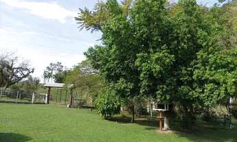 Imagem 4: Sítio dos Sonhos!