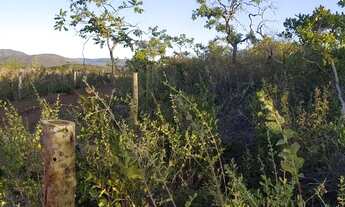 Imagem 4: Terreno para chácaras