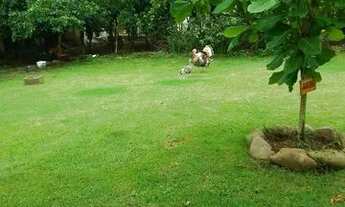 Imagem 2: Vendo casa boa no interior de torres