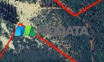 Imagem: FAZENDA À VENDA - 43 HECTARES - MORADA