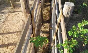 Imagem 7: Fazenda em Buritizeiro - Minas Gerais, à venda com 5600ha