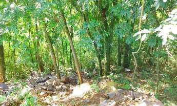 Imagem 3: Terreno para Venda em Nova Petrópolis, Pousada da Neve