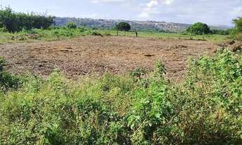 Imagem: Terreno 10 x 30, no bairro Asa branca