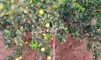 Imagem 2: Venda Chácara ÁREA RURAL DE UBERLÂNDIA