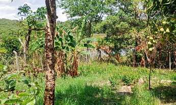 Imagem 7: Chácara beira dágua, próximo Tupaciguara