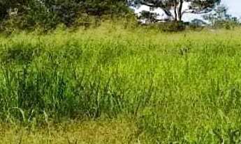 Imagem 5: Fazenda à Venda 2.745 hectares em Porto Esperidião - MT