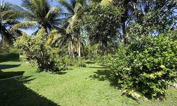 Imagem 2: Fazenda/Sítio/Chácara para venda possui 200 metros quadrados com 3 quartos