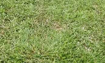 Imagem: Vende-se terreno na estrada do janauari