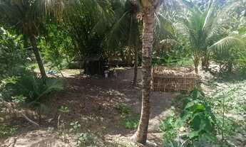 Imagem 2: SO VENDO, INFORMAÇÕES DE VALORES, SO PELO ZAP *14