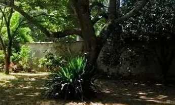 Imagem 5: Casa em São João Do Rio Vermelho