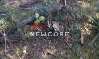 Imagem 6: Chácara em Rua João Bortolan - Colônia Murici - São José dos Pinhais/PR