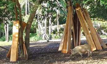 Imagem 6: Vendo um lindo sitio. Valor 110 mil