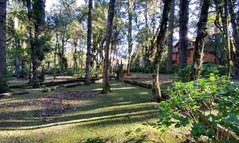 Imagem 4: Terreno à Venda em Canela, na Vila Suzana!