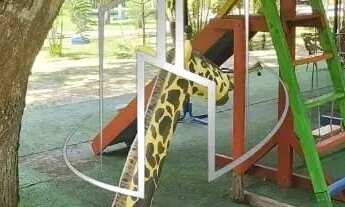 Imagem 3: Sítio em Condomínio Fechado Um Paraíso na BR-316, Marituba