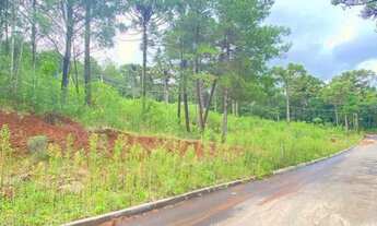 Imagem 4: Terreno - Bairro Dutra