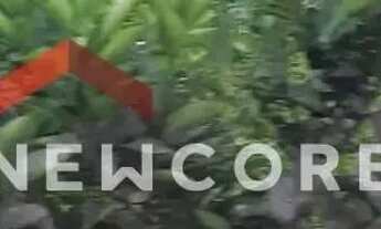 Imagem 4: Casa em Rua Manoel Irineu da Silva 95 - Santa Luzia - Porto Belo/SC