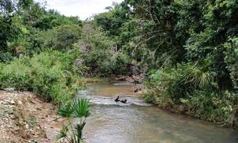 Imagem 3: Chácara 8 hectares