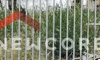 Imagem 5: Lote em Rua Siqueira Campos - Vila Souto - Bauru/SP