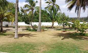 Imagem 5: Aluga-se sítio com piscina para o carnaval