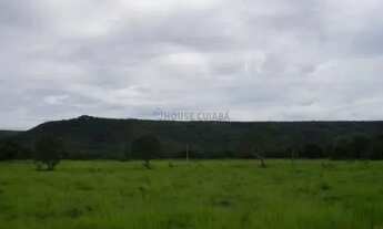 Imagem: Fazenda com 194 hectares nas margens da