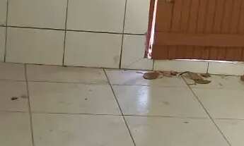 Imagem 3: Alugo casa no Monte Castelo Próxima ao Hospital Sarah