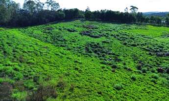 Imagem 7: 2 terrenos á venda com 100.000m² e acesso a represa em Taiaçupeba