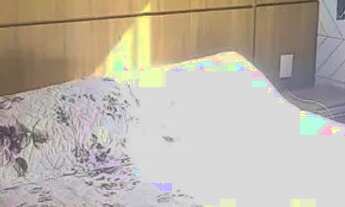 Imagem 4: Apartamento em Rua Trucal - Goiânia - Belo Horizonte/MG