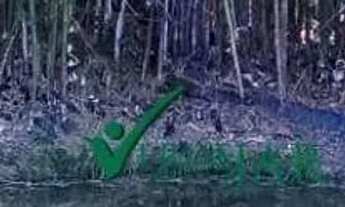 Imagem 7: Chácara com casa principal e casa de caseiro com maravilhoso acabamento