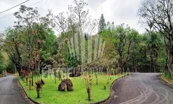 Imagem 3: Terreno á venda no Cond. Morada das Nascentes em Joaquim Egidio Campinas