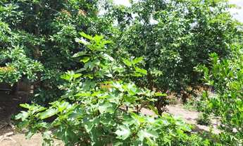 Imagem 4: CHÁCARA REGULARIZADA EM SUZANO | 1.500m²