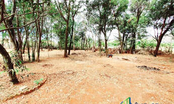Imagem 4: Lote Residencial Ouro Verde