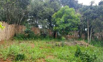 Imagem 4: Chácara 2.500 m2 em Cambui no sul de Minas Gerais