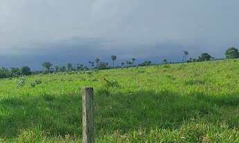 Imagem 5: Fazenda de 288 alq no vale do Araguaia -TO