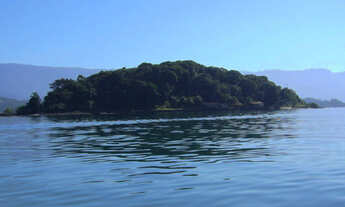 Imagem: Ilha Jose Andre com 56.000 m2 em Angra dos