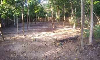 Imagem: Vendo Terreno de 800m², Alter do Chão