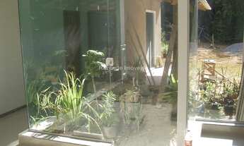 Imagem 6: Juiz de Fora - Casa Padrão - Milho Branco