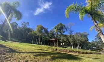 Imagem 2: BALSA NOVA - Chácara - Mato Chiqueiro