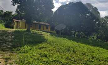 Imagem 2: Oportunidade Sitio - Inhames