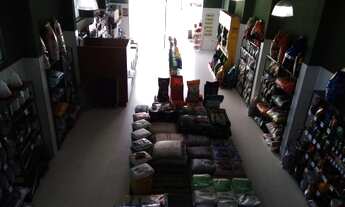 Imagem: Passo Ponto comercial/Loja Vastante Movimentado