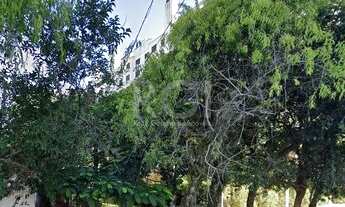 Imagem 3: Terreno em Tristeza