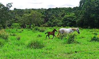 Imagem 2: Fazenda escriturada formada terra cultura