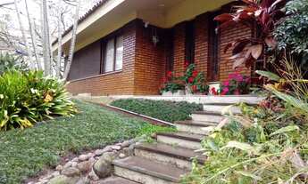 Imagem 7: Porto Alegre - Casa Padrão - Cristal