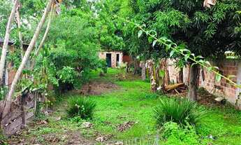 Imagem 2: Terreno com quarto e banheiro em Martins Lage