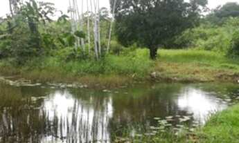 Imagem 4: Terreno com casa citio igarapé