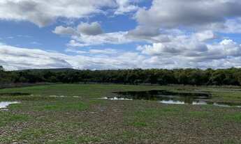 Imagem 4: Fazenda pântano Chapada Diamantina