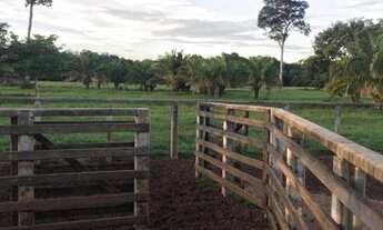 Imagem: Fazenda com currais completos, e casa para